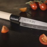 Нож кухонный «Петти» двусторонняя заточка L=23.5/12 см Sekiryu, 4072472