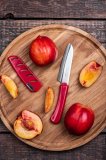 Кухонный овощной нож в ножнах Fuji Cutlery рукоять термопластик FK-431